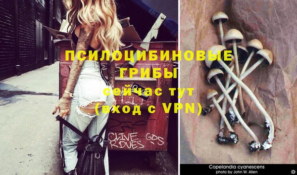 а пвп мука Балабаново