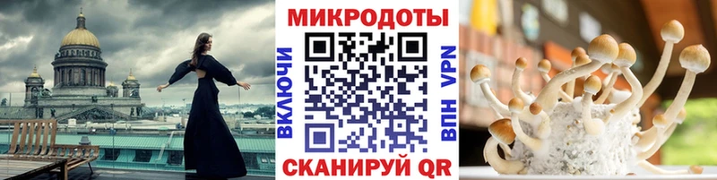 OMG ТОР Меленки Псилоцибиновые грибы Cubensis где можно купить